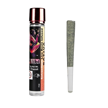 Alibi - Super Silver Haze x Tropical Cooler 1 Gram Live Rosin Infused Ceramic Tip Pre-roll