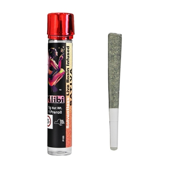 Alibi - Super Silver Haze x Tropical Cooler 1 Gram Live Rosin Infused Ceramic Tip Pre-roll