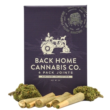 Gorilla Glue 6 Pack of .5g Pre-rolls