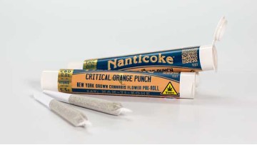 Critical Orange Punch Pre-Roll Joints